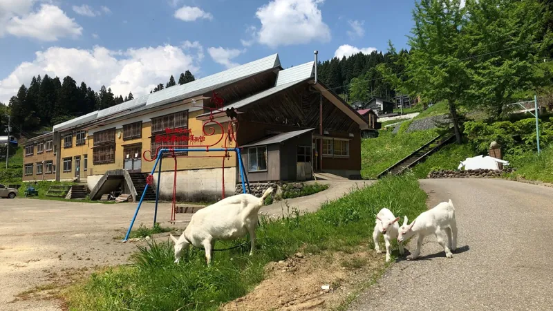 鉢＆田島征三 絵本と木の実の美術館