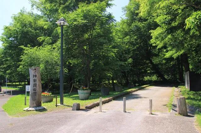 神楽岡公園 3