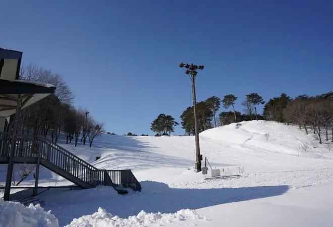 みどりの大地とロマンの森公園 3