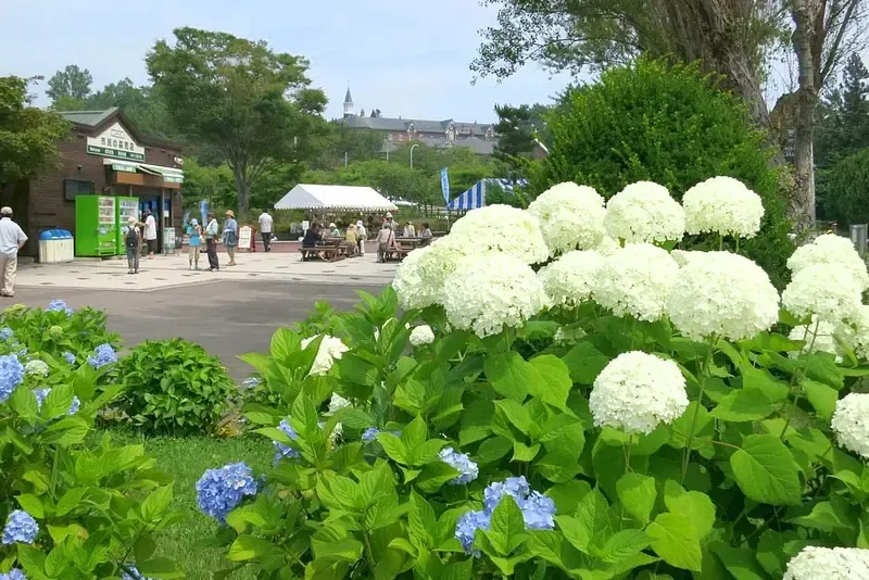 市民の森 2