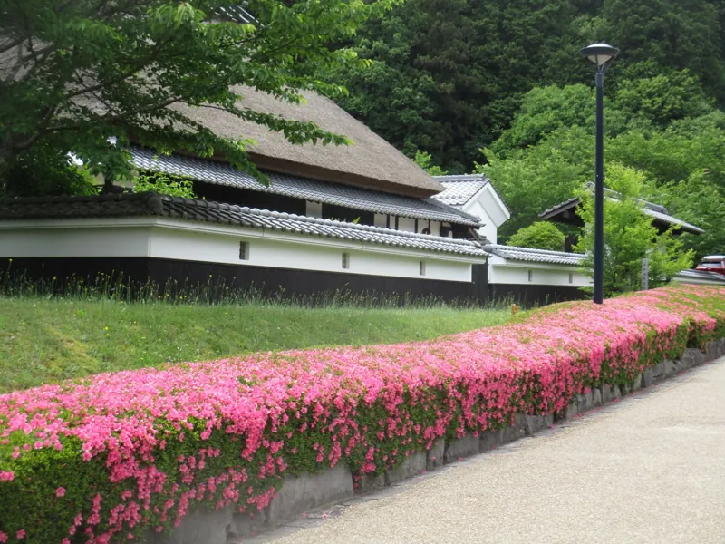 兵庫県立丹波並木道中央公園 3