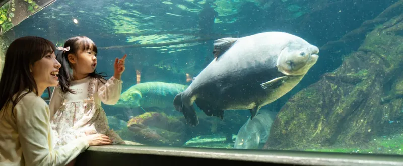 世界淡水魚園水族館 アクア・トト ぎふ 2