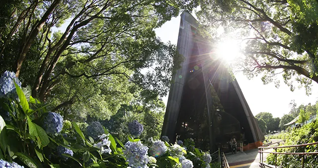 都立第五福竜丸展示館 2