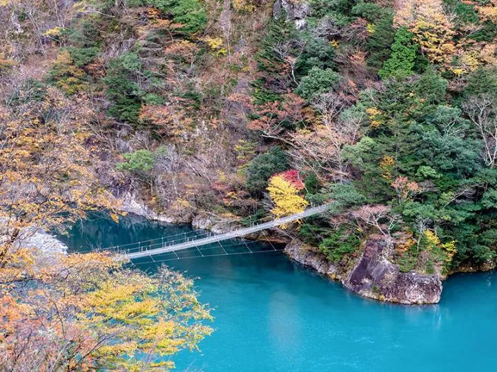 寸又峡 夢のつり橋