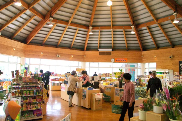 道の駅 桜島 火の島めぐみ館 1