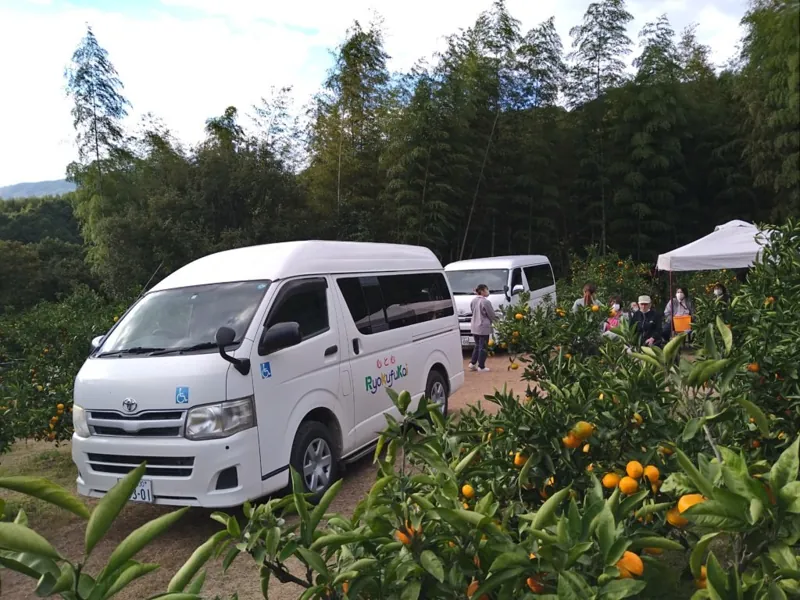 パイロット松下農園(みかん農園) 2