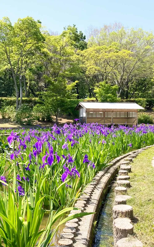 大泉緑地