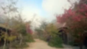 おがわ作小屋村 2