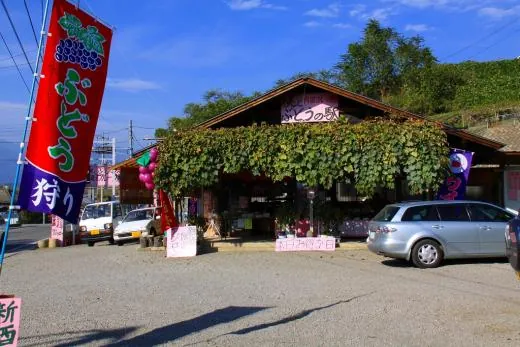 内田フルーツ農園