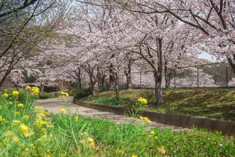 金ケ崎公園