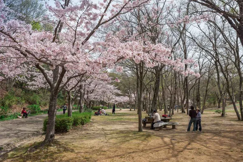 金ケ崎公園 2