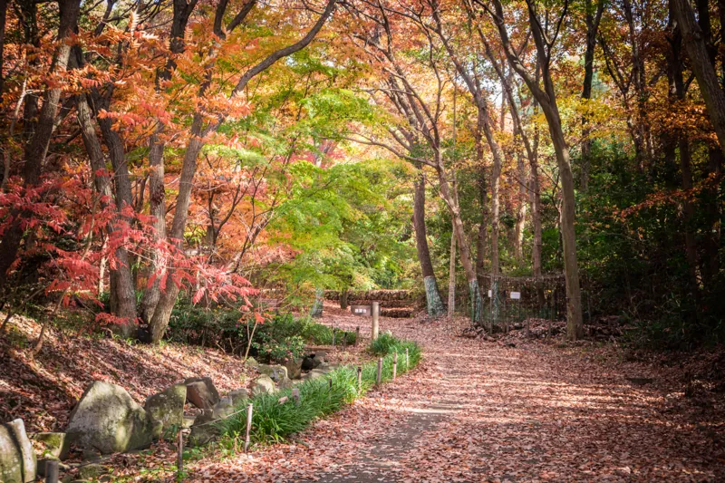 金ケ崎公園 3