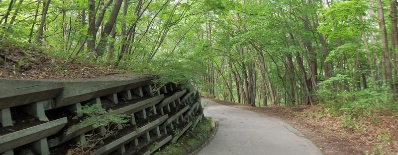 清田南公園 2