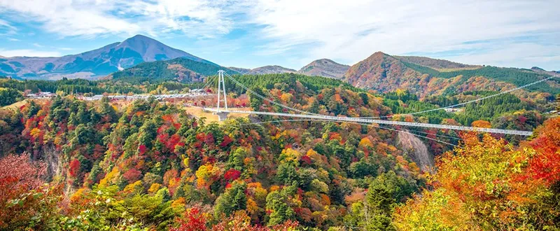 九重“夢”大吊橋 2