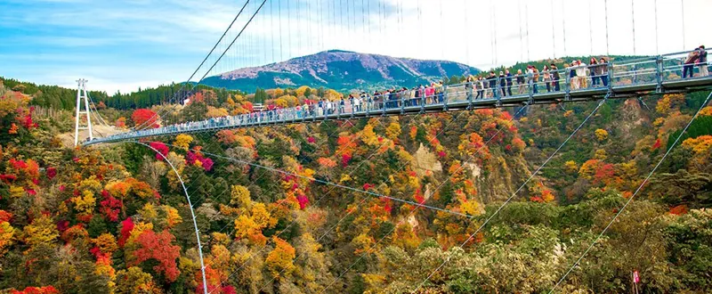 九重“夢”大吊橋 3