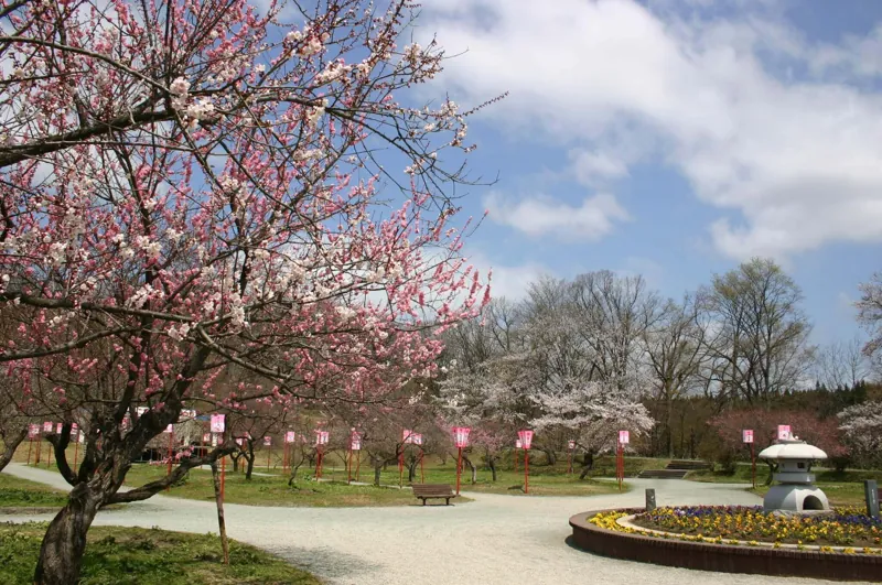 真室川公園