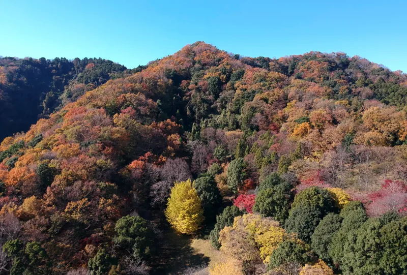 飯山白山森林公園