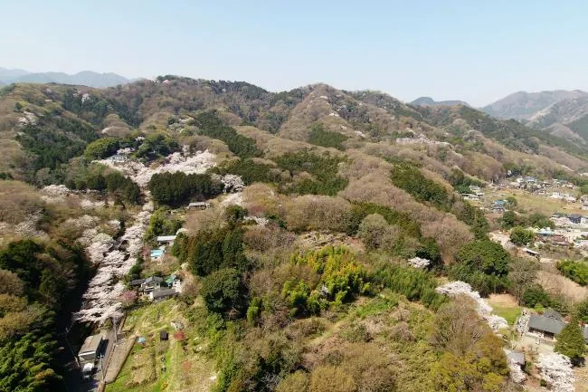 飯山白山森林公園 2