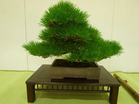 京都府立植物園 2