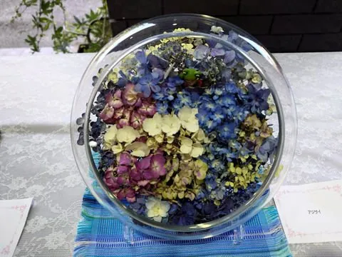 京都府立植物園 3