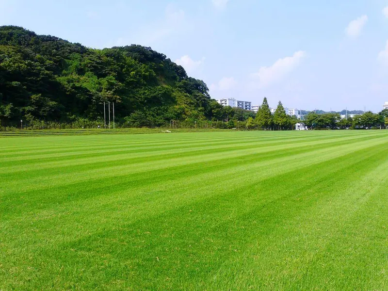 長浜公園