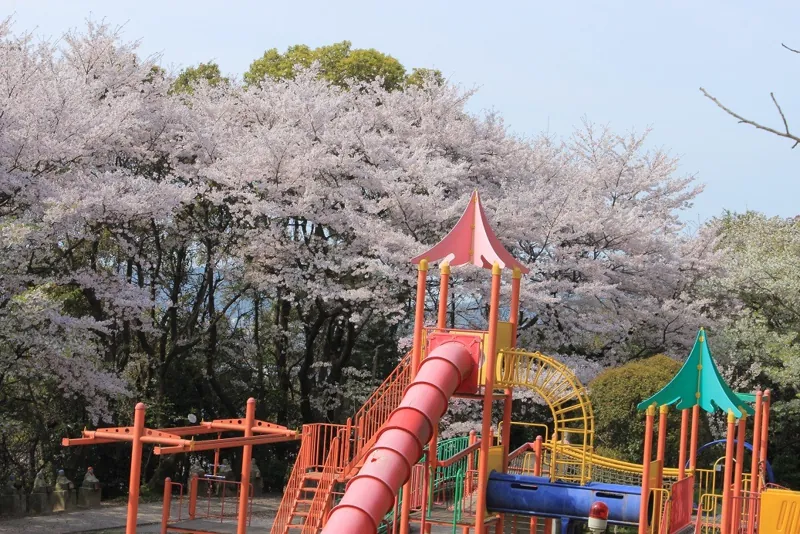 桑山公園
