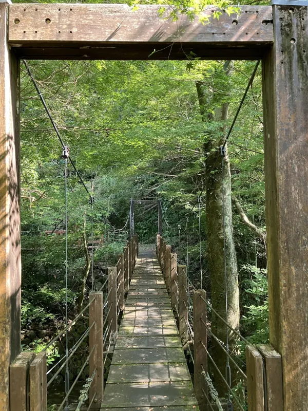 つたの細道公園
