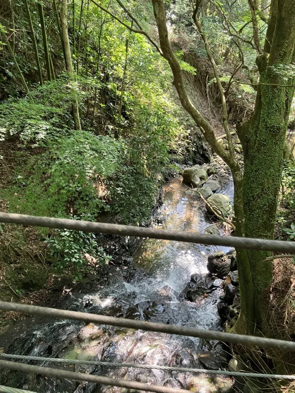 つたの細道公園 2