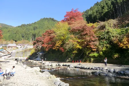 大丹波川国際虹ます釣り場 3