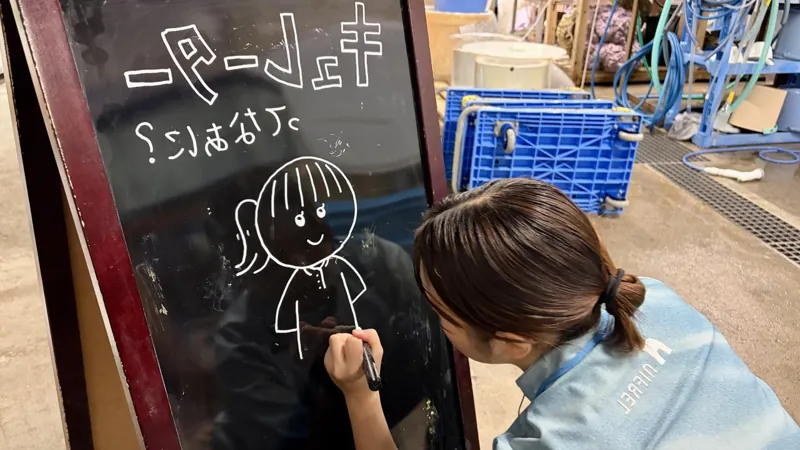 ニフレル 2