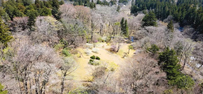 日光植物園 2