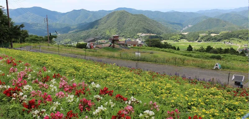 兵庫県立但馬牧場公園 3