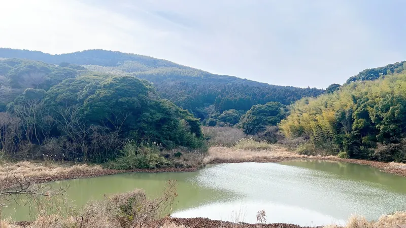 しょうぶ谷キャンプ場
