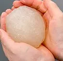 丹  野こんにゃく