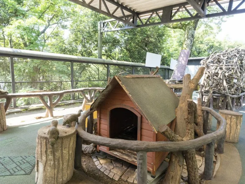 ぎふ金華山リス村