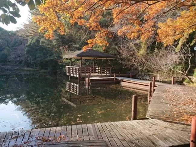 四ツ池公園