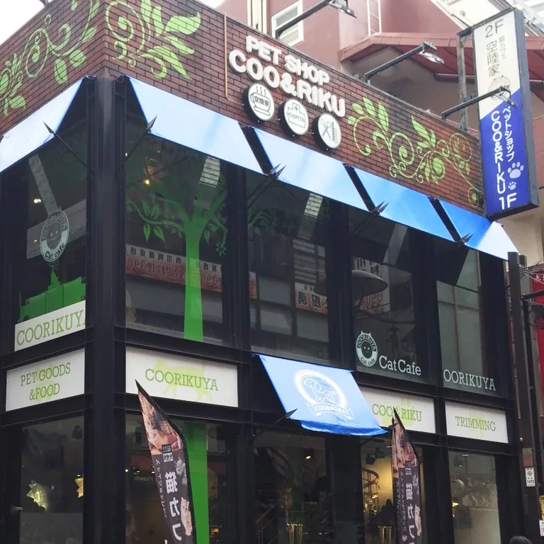 猫喫茶 空陸家 赤坂ジャングル店 3