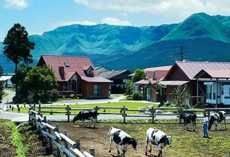 ASO MILK FACTORY 2