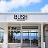 BUSH de coffee 1