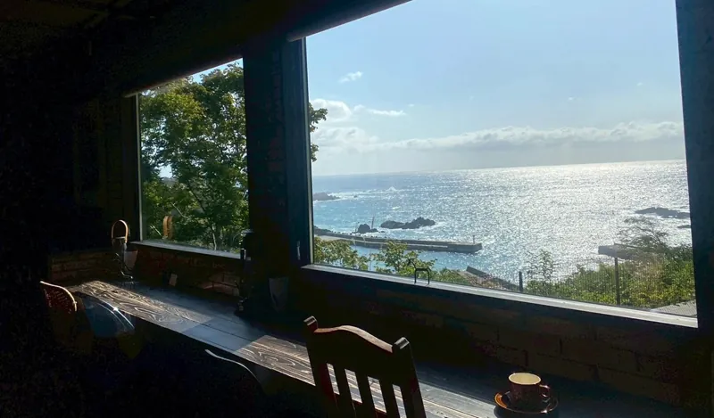 CAFE gull 2
