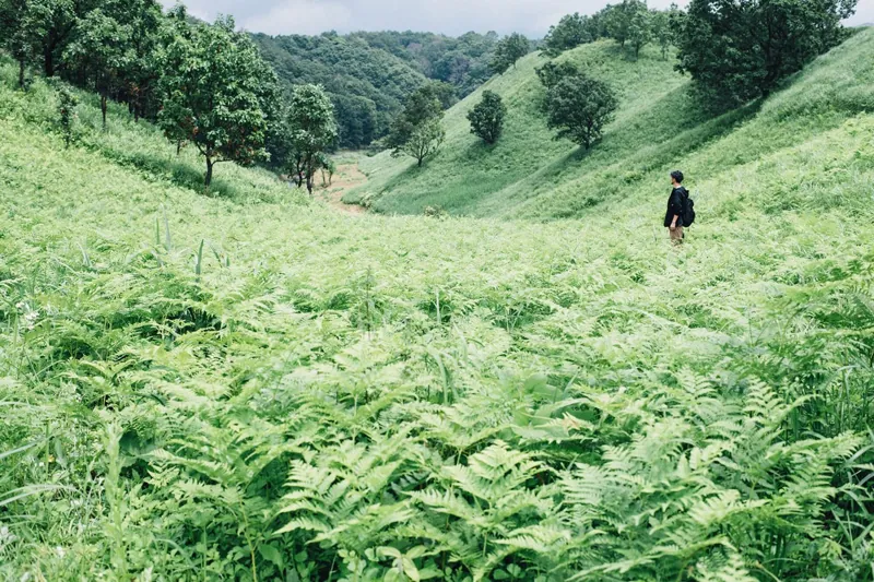 GREENable HIRUZEN 3