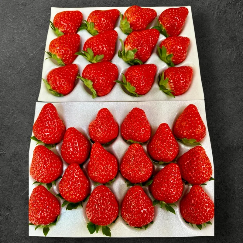 GrandBerry 3