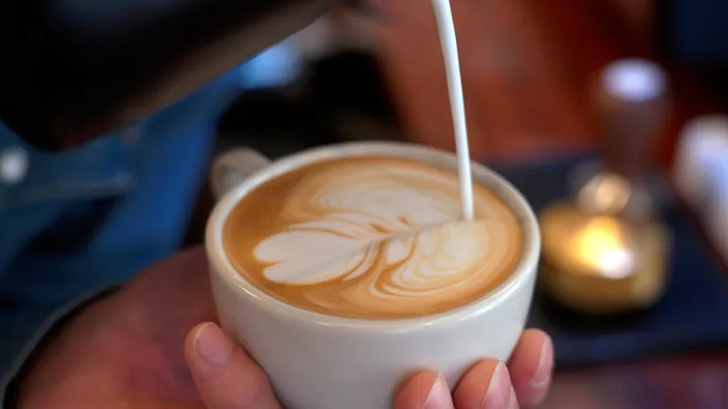 HillBilly Coffee Company