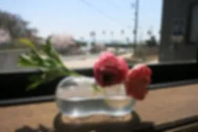 HugHugCafe 1