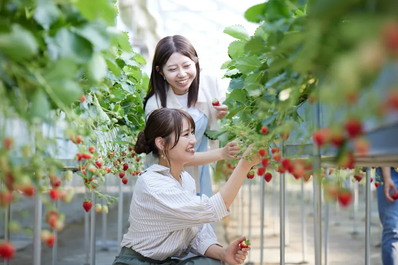 MIGAKI FARM
