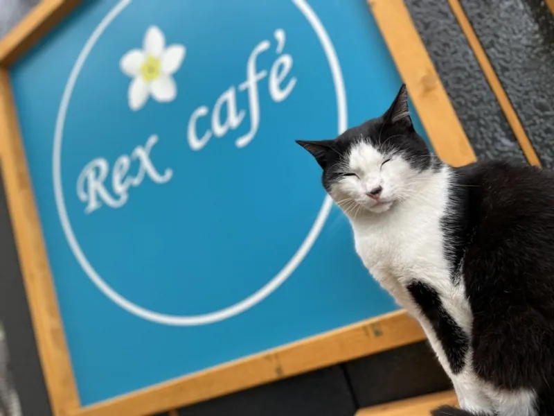 REX CAFE 1
