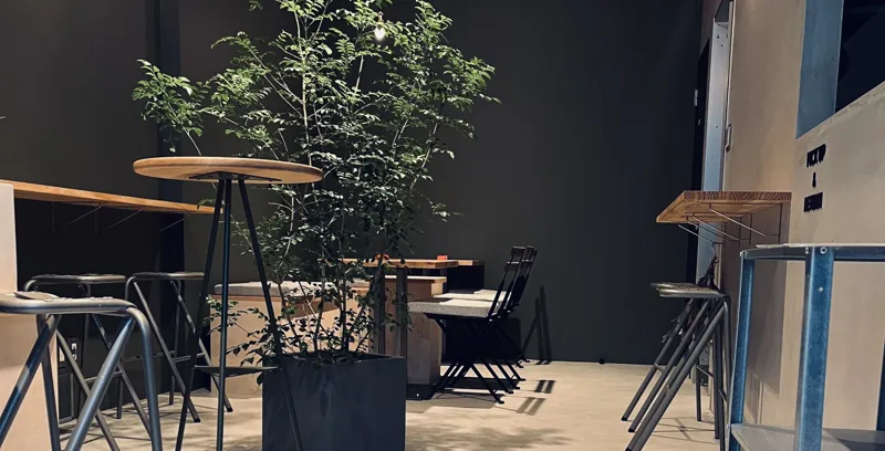 Roots plus cafe 2