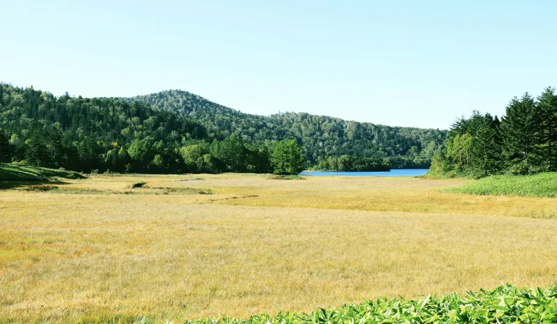 尾瀬沼(沼山峠)