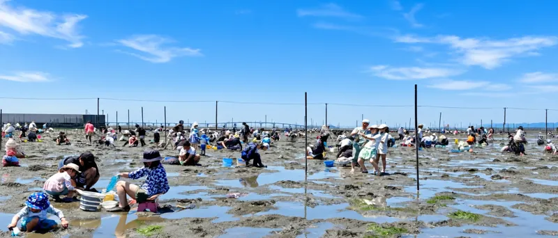 牛込海岸潮干狩場