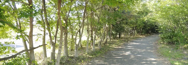 農業文化園・戸田川緑地 3